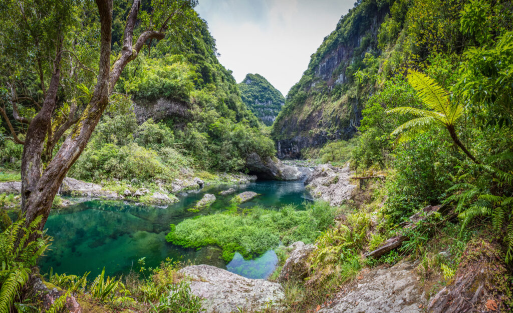 Takamaka, La Réunion