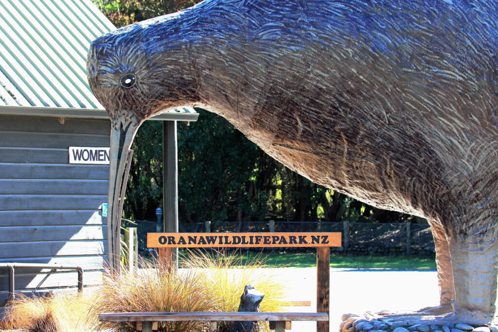 Que faire à Christchurch ? Aller à l'Orana Wildlife Park 