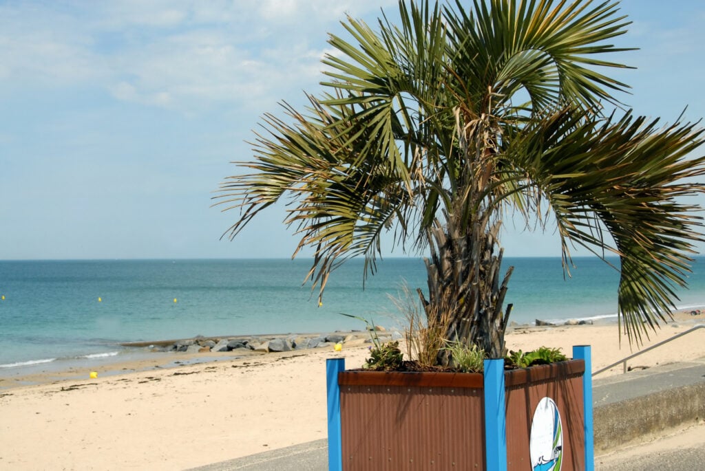 Plage de Donville-les-Bains
Plages accessibles PMR en Normandie 