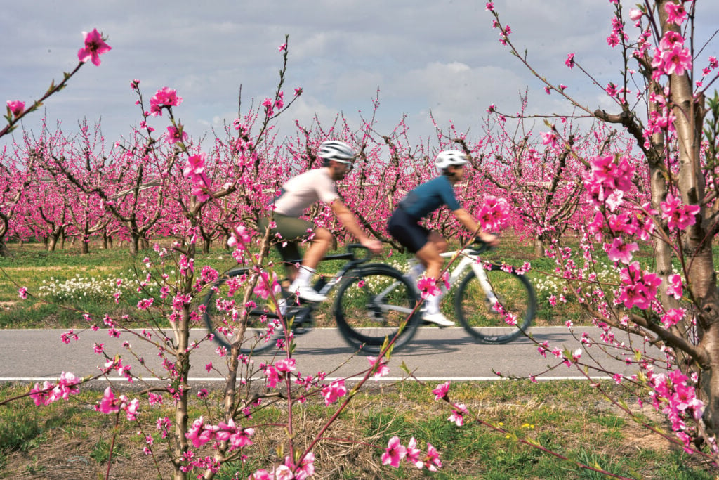 Vélo à Segrià.