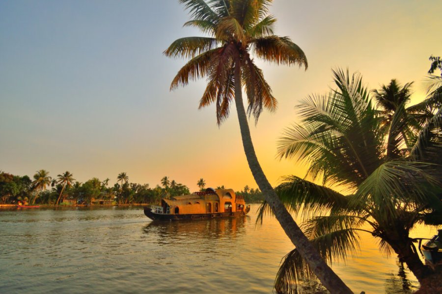 Que faire, que visiter dans le Kerala ? Les 15 plus beaux endroits in 2025