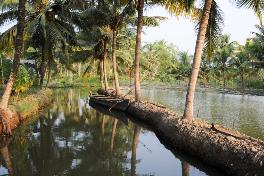 Backwaters, Kollam 