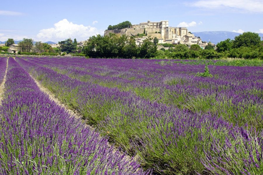 La Drôme provençale, vieilles pierres, nature et villages de charme