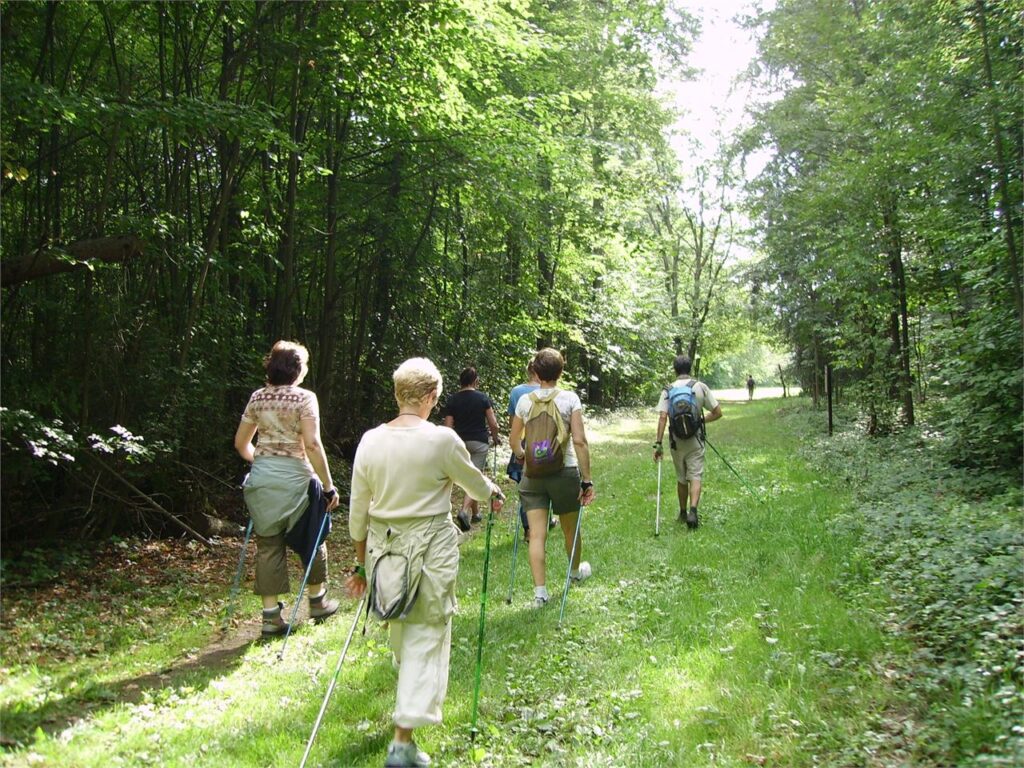 Que faire à Thonon-les-Bains ? Se promener dans la forêt de Ripaille