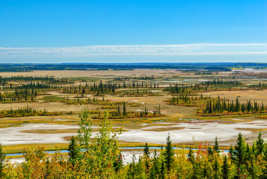 Wood Buffalo National Park