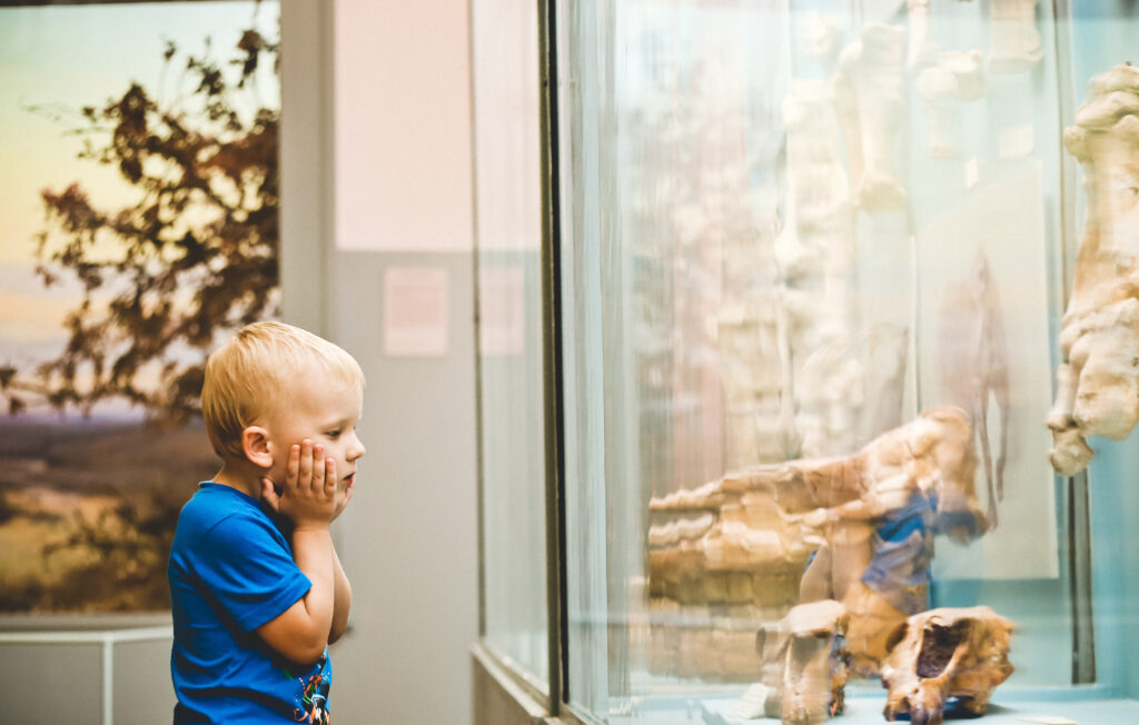 Enfant au musée