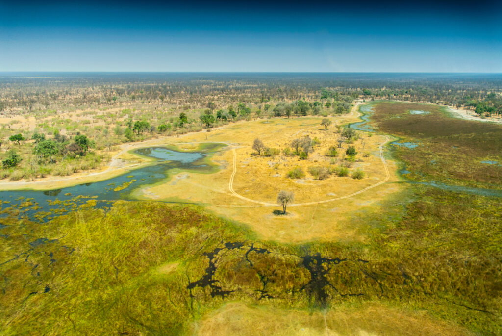 Que faire au Botswana ? Voir le delta de l'Okavango