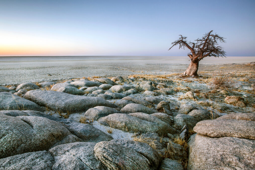 Que faire au Botswana ? L'île de Kubu 