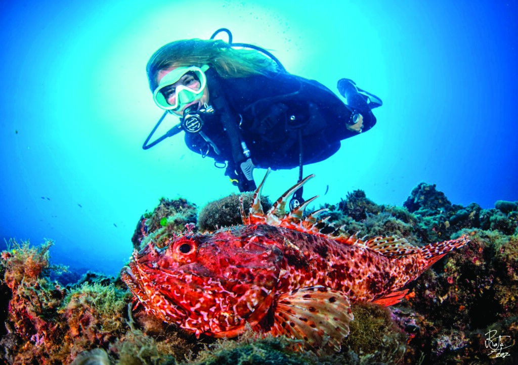 Plongée sous-marine. 