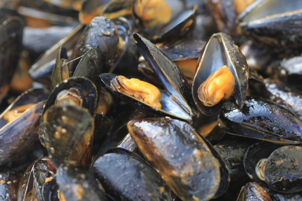 Les moules de bouchot