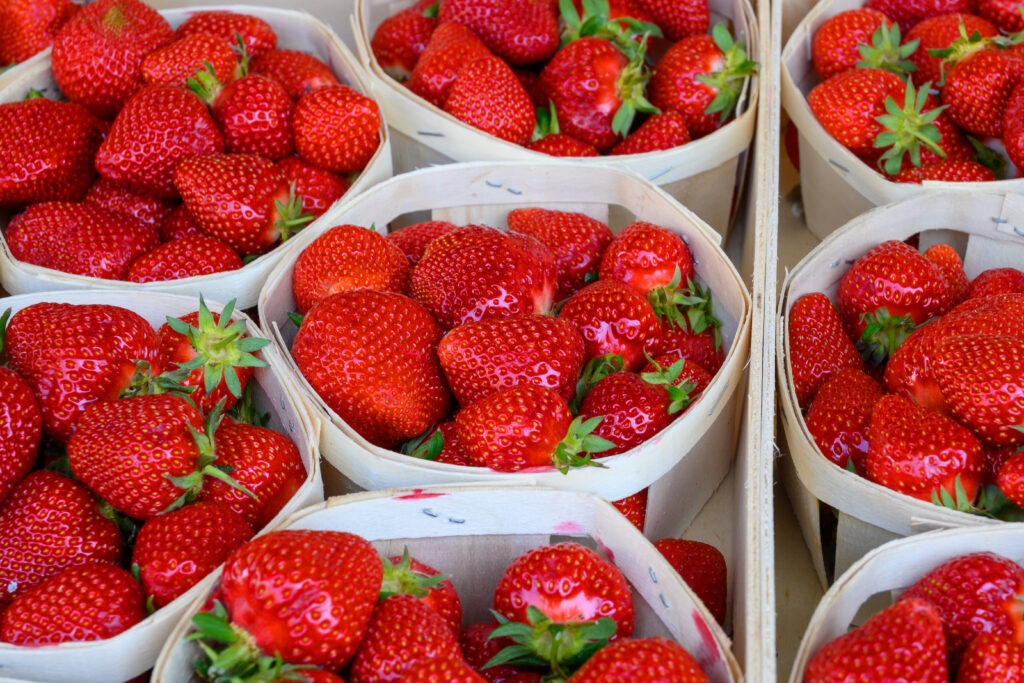 Les fraises de Plougastel, une des meilleures spécialités bretonnes