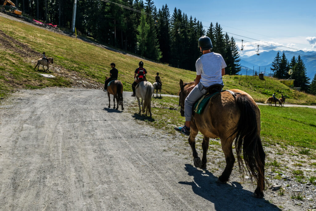 Randonnée à cheval dans la montagne