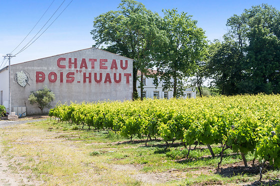 Château du Bois-Huaut