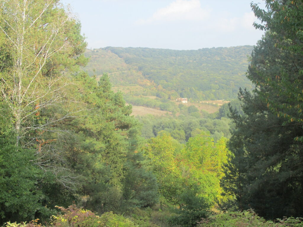 La réserve naturelle de Codrii 