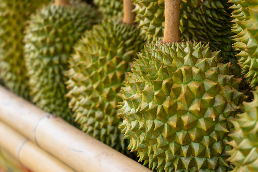 Durian 