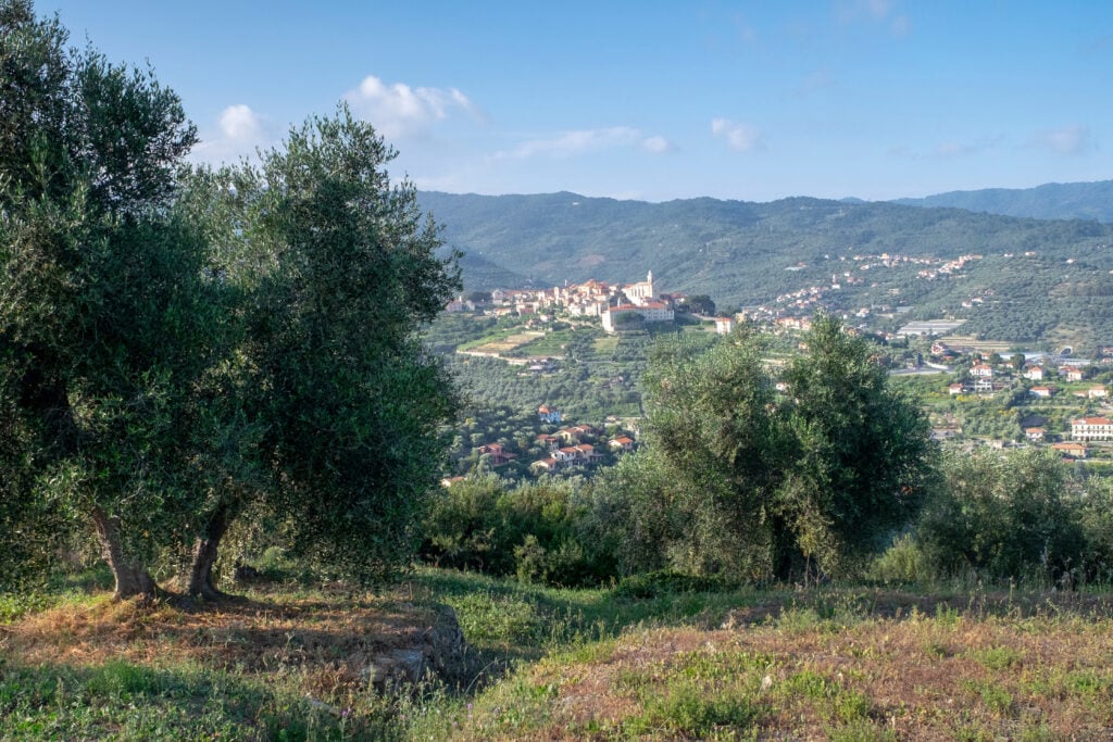 Vue sur la ville d'Imperia depuis Diano Castello
