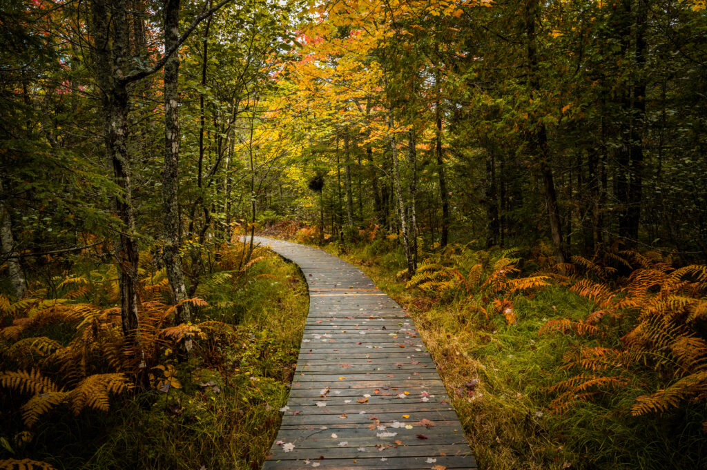 Parc National Kouchibouguac