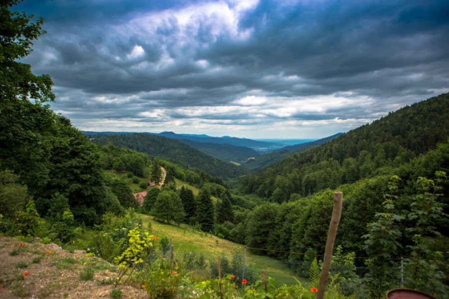 Top 8 des meilleures randonnées à faire en famille dans les Vosges