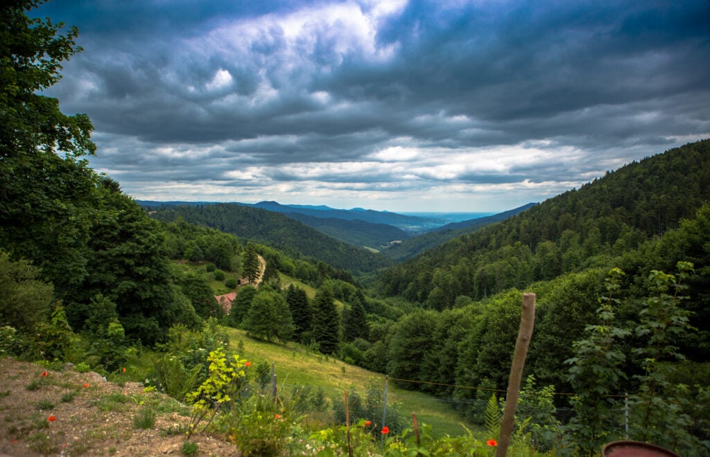 Vosges randonnées