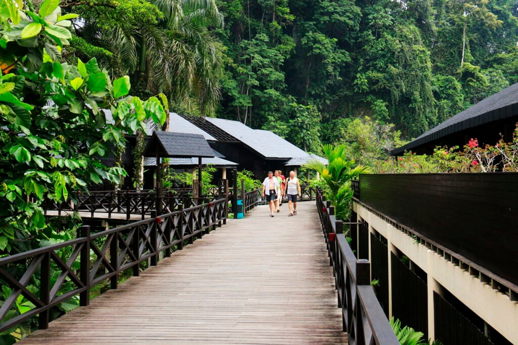 Mulu National Park