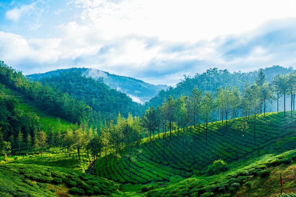 Vue sur les paysages de Thekkady