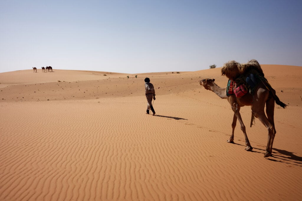 Paysage en Mauritanie