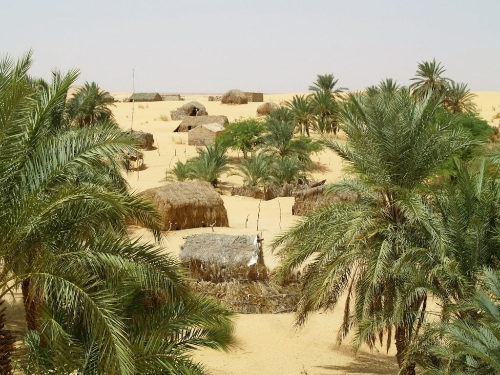 Tanouchert, une oasis authentique