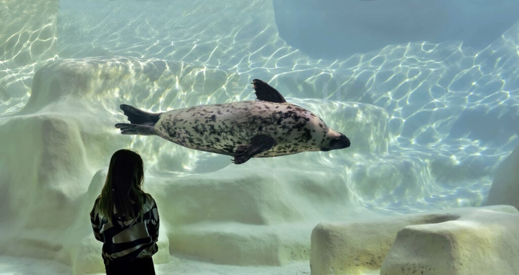 Aquarium de Biarritz, un des plus beaux aquariums de France