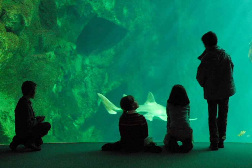 Enfants à l’Aquarium de la Rochelle