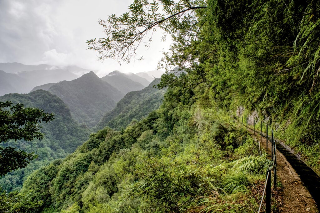 Levada do Rei