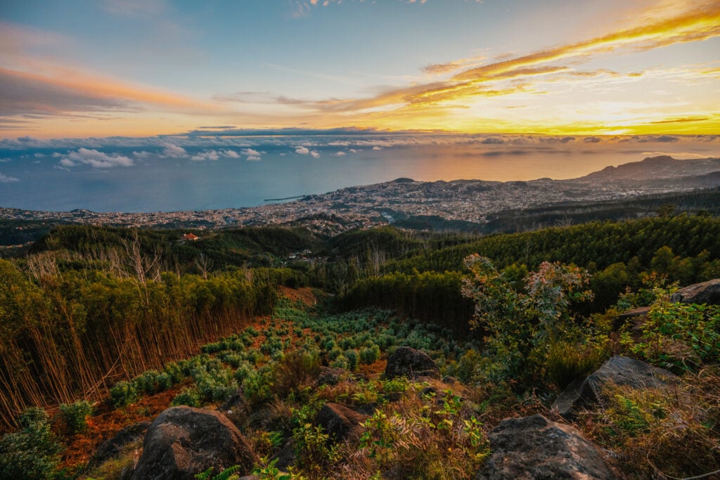 Vue depuis le Miradouro do Pico Alto