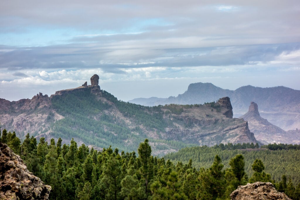 Randonnée du Pico de las Nieves - meilleures randonnées Canaries