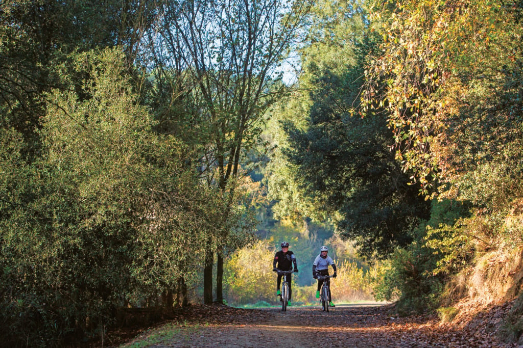 Parc naturel de la Serra de Collserola.