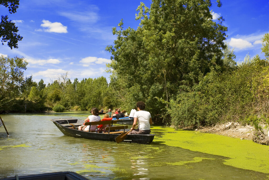 Promenade en barque sur le marais poitevin