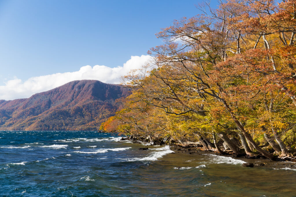 Lac towada - région de Tohoku au Japon