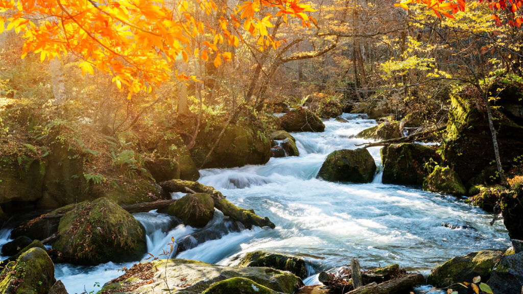 Gorges d'Oirase