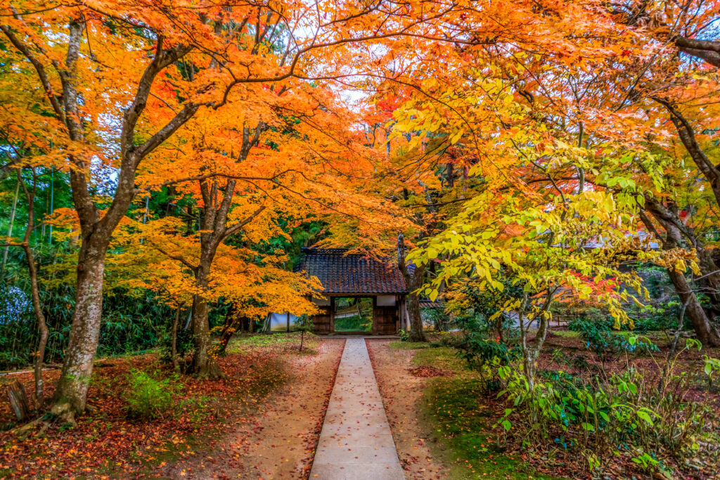 Temple Chusonji à Hiraizumi 