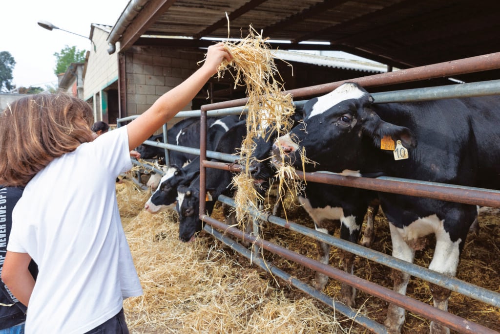 Visite à la ferme.