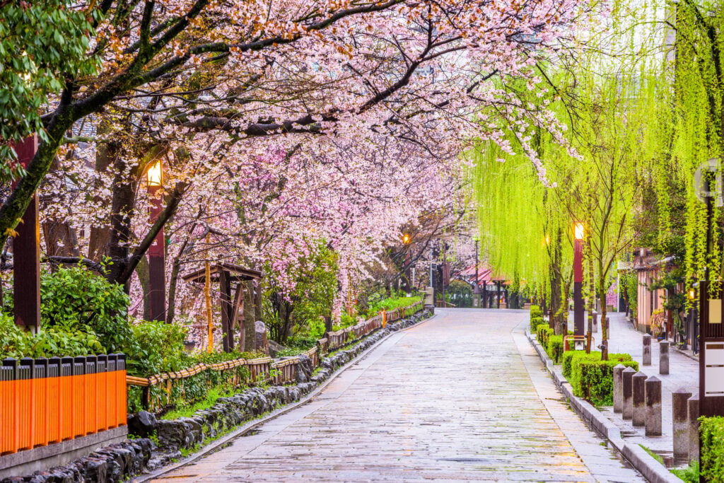 Où voir des cerisiers en fleur au Japon ? À Kyoto au Japon