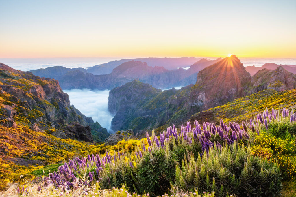 Vue depuis le Pico do Arieiro 