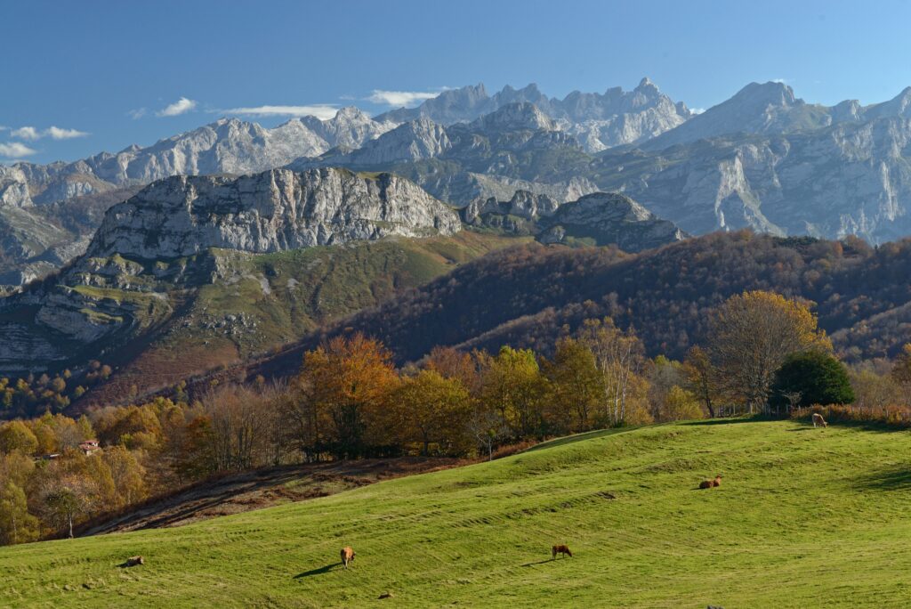 Le paradis naturel compte sept réserves de biosphère et le premier parc national d'Espagne.