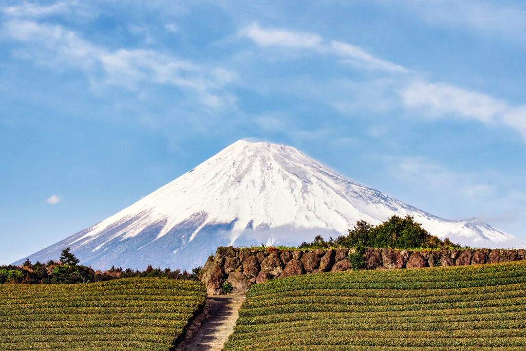 Vue sur le Mont Fuji