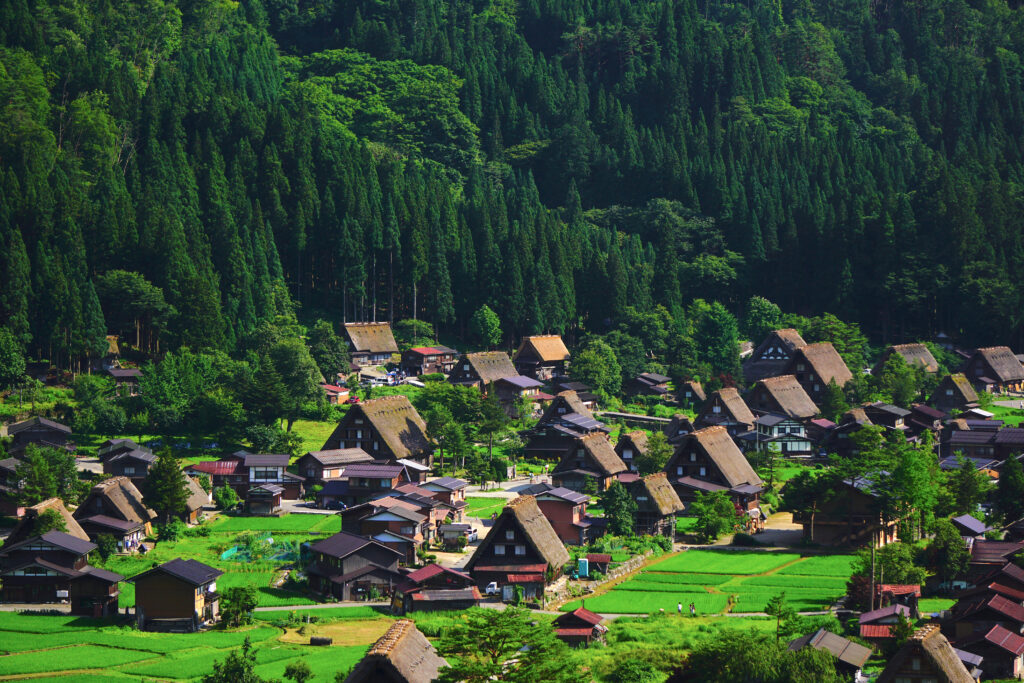 Vieux village de Shirakawa-Go 