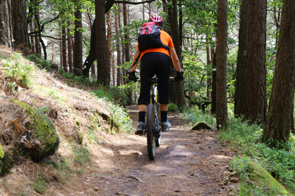 VTT en forêt