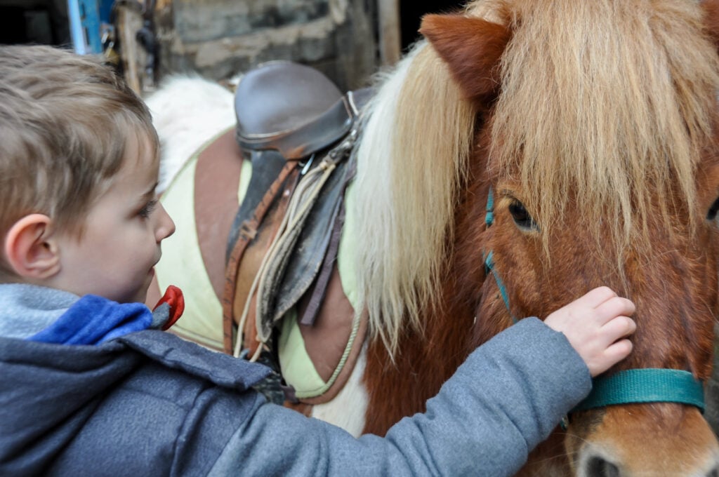 Balade à poney