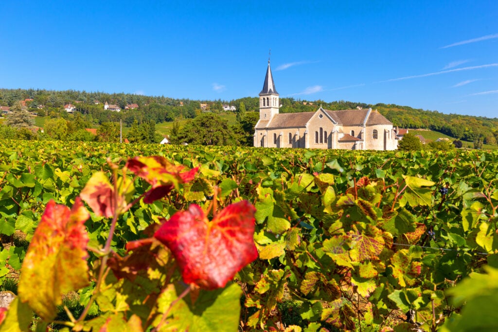 Vue sur l'église de Givry