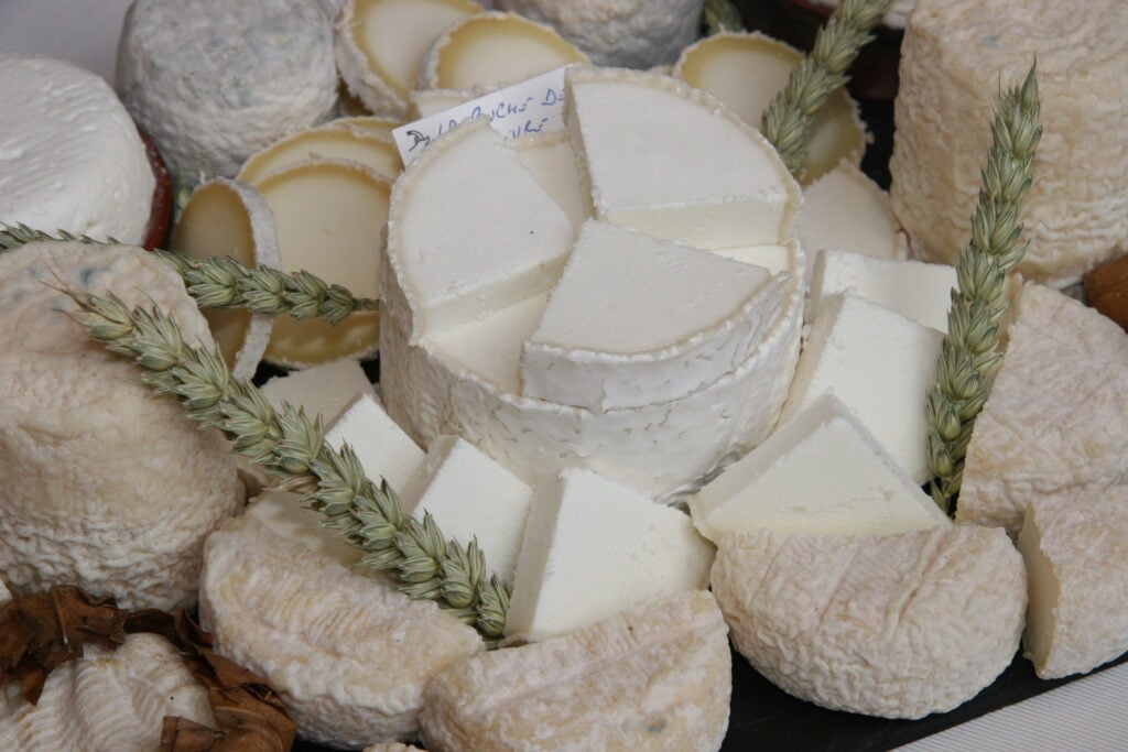 Fromages de chèvre du Mâconnais et du Charolais