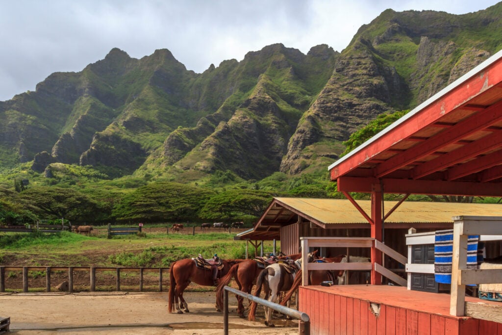 Ranch de Kualoa à Oahu 