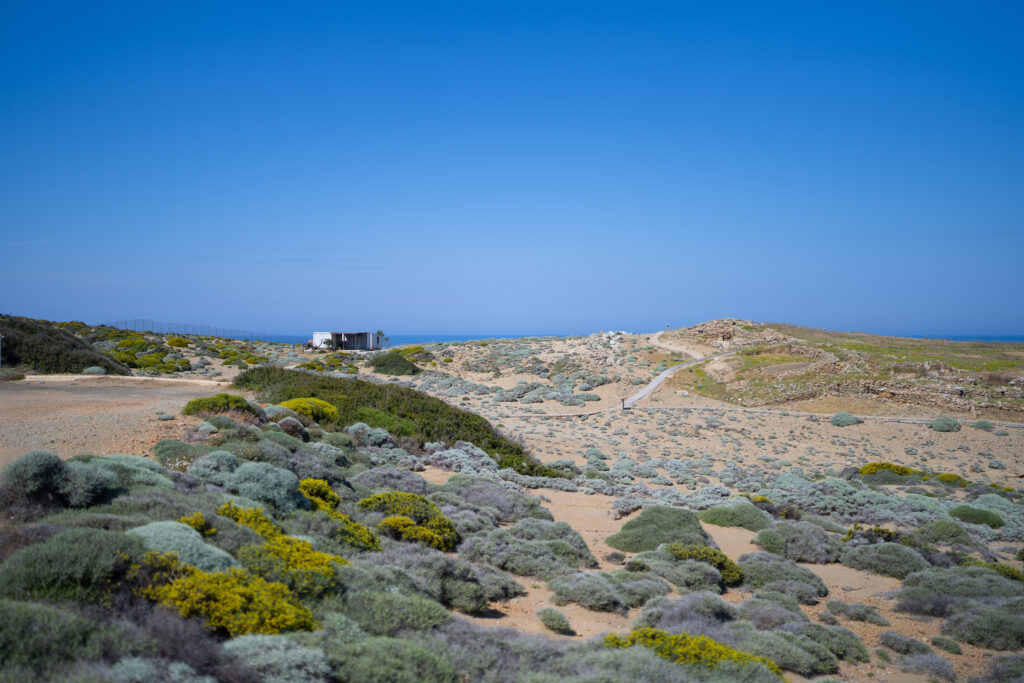 Site archéologique de Palamari  - Sporades