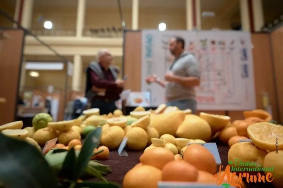 Le Salon International de l'Agrume revient à Menton : notre coup de coeur printanier !